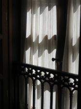 I IMG_7441
